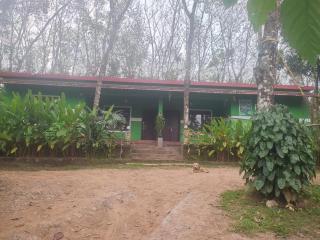 Green Wayanad Homestay - 0