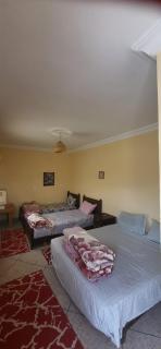 Maison d'hôtes oasis de Tiout - 8