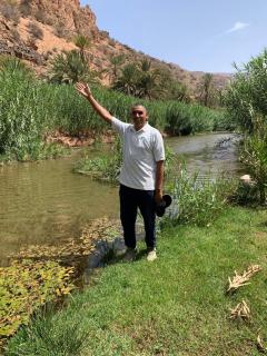 Maison d'hôtes oasis de Tiout - 7