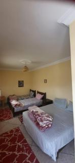 Maison d'hôtes oasis de Tiout - 3