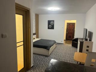 Garsonieră Single Room 25 - 2