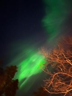 Castillo Teerenpesue B 16 - 8