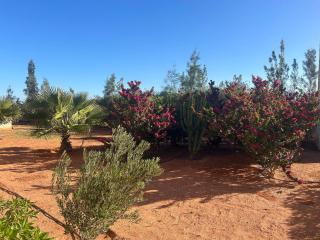 Villa piscine évasion Ounagha - 4