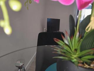 Calm 1-Bedroom Apartment - 8