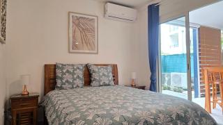 Bas de la Rivière T2 45 m en RDC clim parking - 9