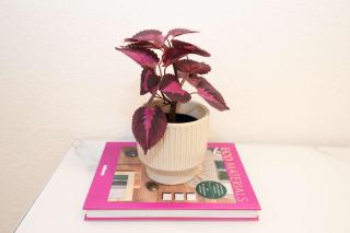 New City Center Apt with Private Entry & Parking - 3