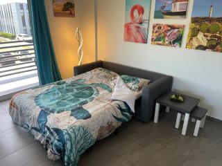 Luxury 2-BR Apartment with Balcony - Eagle Beach - 3