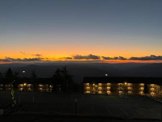 Snowshoe Village Ski-in - Ski-out Condo w Hot Tub - 5