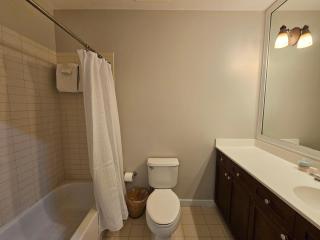Spacious Suite w kitchenette-pool-hot tub 6309LP - 7