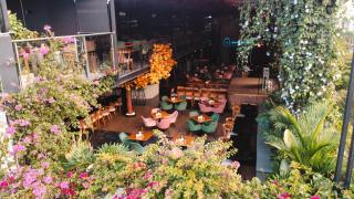 Hotel Plaza del Lili - 8