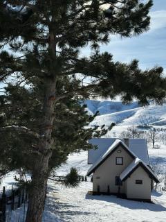 Vila Golden Queen Zlatibor - 0