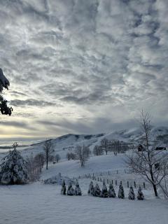 Vila Golden Queen Zlatibor - 8