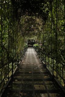 Isla Clara Hotel - San Francisco - 7