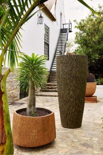 Ballotina, Tulbagh Cape Wineland - 5