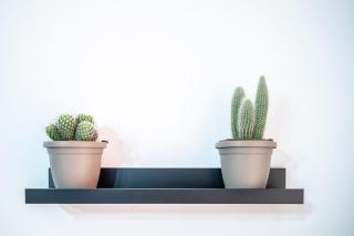 Exclusive Apartment Vatican - Roma - 3