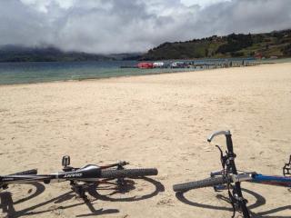 Posada Turistica Altamisal - 1