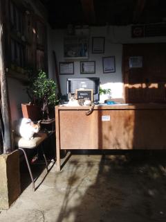 Posada Turistica Altamisal - Firavitoba - 4