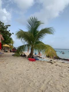 studio Au Paradis vue mer dans village de vacances à Saint Anne - Courcelles - 6