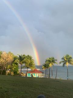 studio Au Paradis vue mer dans village de vacances à Saint Anne - Courcelles - 7