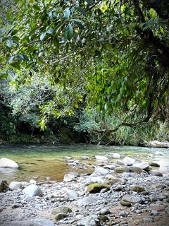 Posada Manacus, Naturaleza confort y rio Dormilón - 5