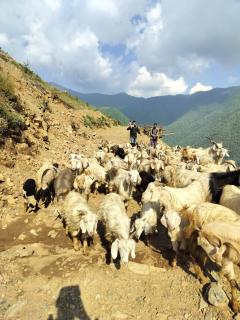 Nagtibba Trek - Three Sixty Views - 4