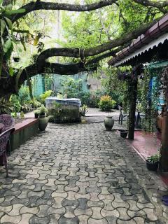 Mihira Guest House - 2