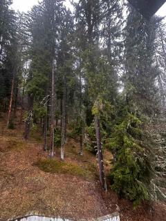 Winter Lotos Apartments - 8