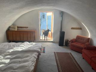 Cozy 100-year-old granary with a stove and goats - 0