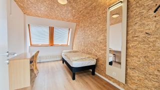 CopperRoof Eco Apartments im Herzen von Merseburg - 4