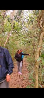 Sítio Recanto das Estrelas - 1