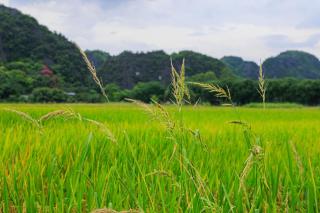 Heartfelt Hideaway 2 - 7