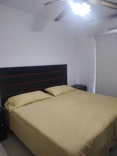 Bonita casa en el corazon turistico de Manzanillo - 5