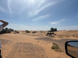Hôtel Kasbah La Liberte - 3