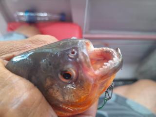 Residencial Romulo Ap 4 - 5