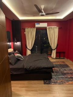 Bird of Heaven - Rawalpindi - 6