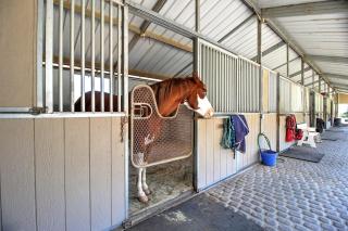 Wine Country Ranch Escape - 7