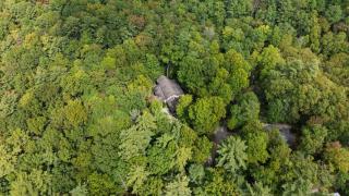 Horse Cove Haven - 9