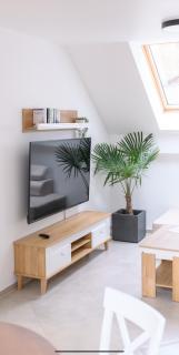 APARTAMENTY z GÓRSKIM KLIMATEM - 3