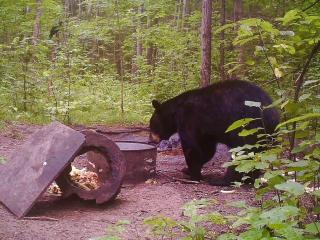 Sleeping Bear Lodge - 6