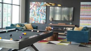 Gorgeous High-Rise On The River - 7