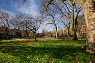 Oxford Road Haven: Stylish 1-Bedroom Retreat - 6