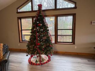 Big Bear Retreat - 9