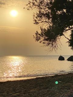 Escale sous le hêtre - 3