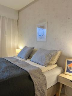 Kotoisa saunallinen kaksio - 7