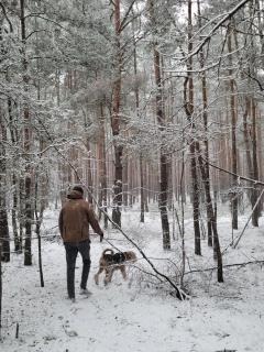 Sosnowy Raj domki nad Wkrą - 1