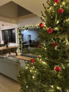 Willa Horyzont Borsk - 7