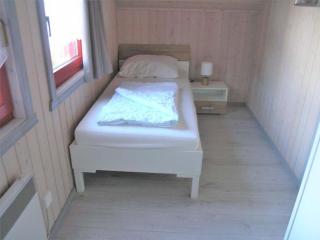 Ferienhaus im Ferienpark Mirow - 1