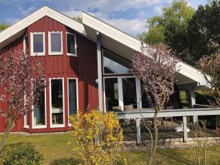 Ferienhaus im skandinavischen Stil - 0