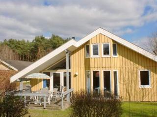 exklusives skandinavisches Ferienhaus - 0