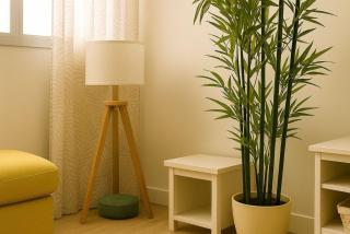 BAZAN Trip Málaga - 1